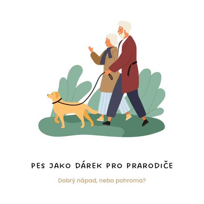 S obdobím Vánoc přichází nápady, že své blízké obdarujeme pejskem.🐶🎄 Velmi často chceme takto obdarovat zejména prarodiče,...