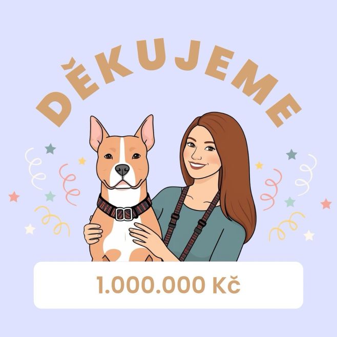 Před 3 lety to byl jen sen❗️🫶🏼 Sen vytvořit vlastní značku a založit si e-shop jen jako koníček. 🐶 Nikdy dřív bych...