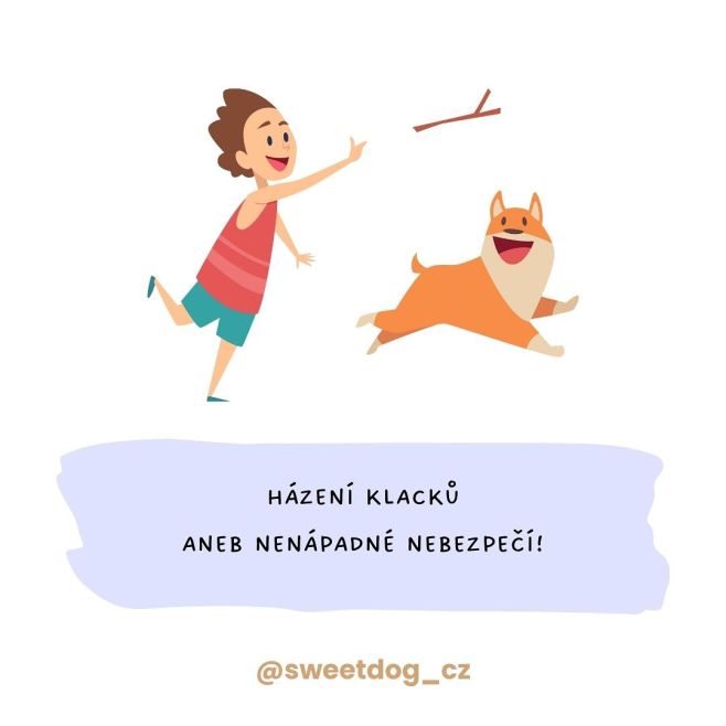Nech ten klacek radši ležet na zemi i když je má tvůj pejsek třeba rád. 😞🙏🏼 Házení čehokoliv pejskovi, který jen zběsile...